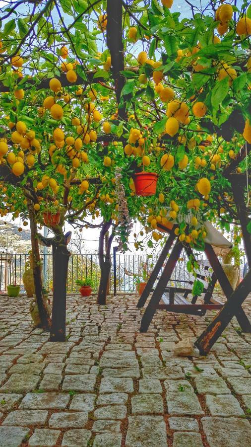 Il Limoneto Degli Angeli Vila Minori Exterior foto