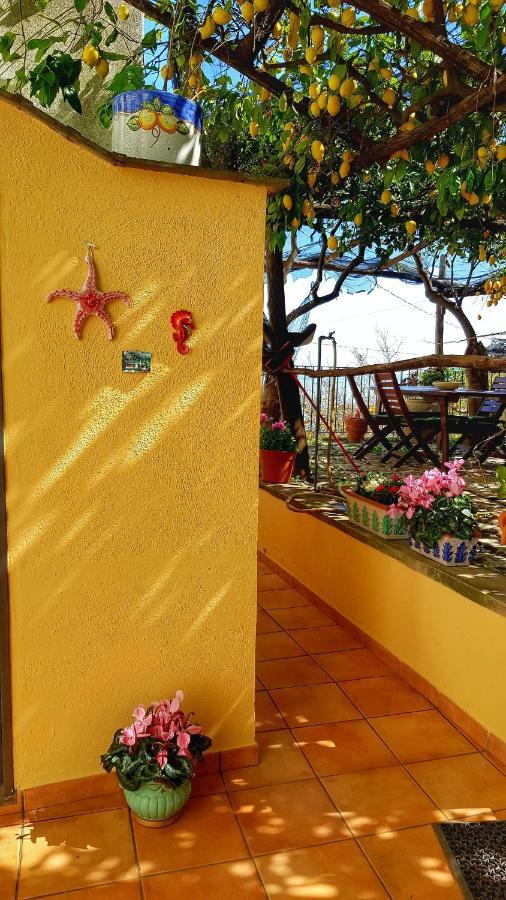 Il Limoneto Degli Angeli Vila Minori Exterior foto