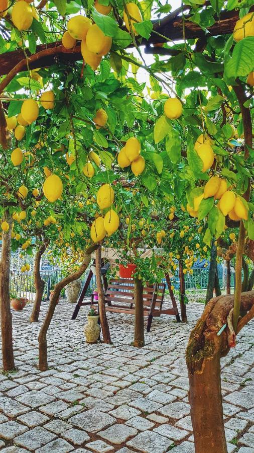 Il Limoneto Degli Angeli Vila Minori Exterior foto