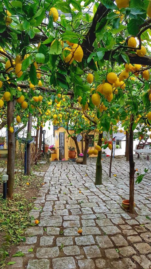 Il Limoneto Degli Angeli Vila Minori Exterior foto