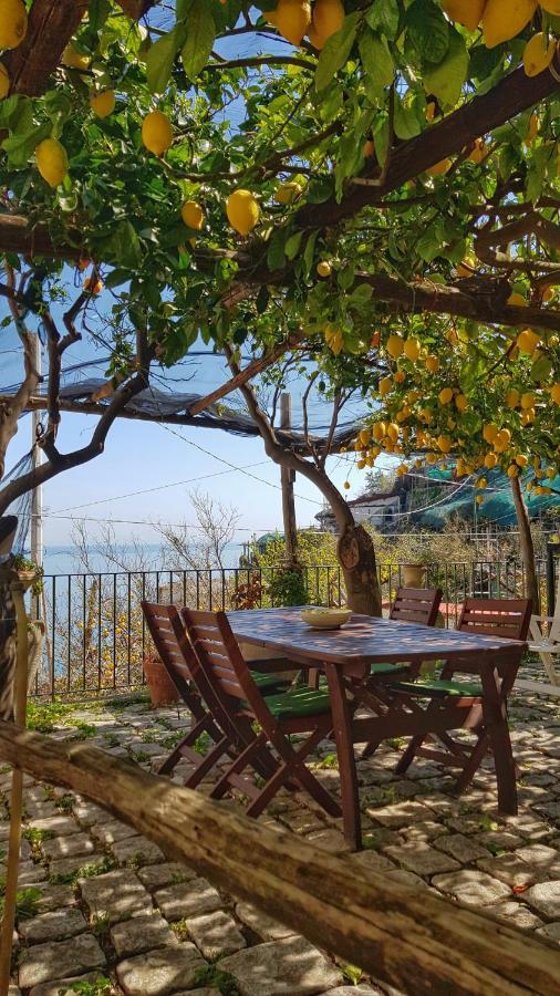 Il Limoneto Degli Angeli Vila Minori Exterior foto