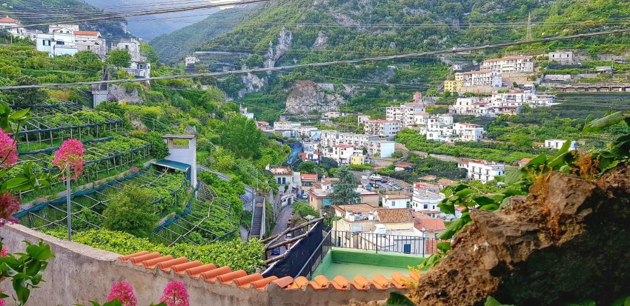 Il Limoneto Degli Angeli Vila Minori Exterior foto