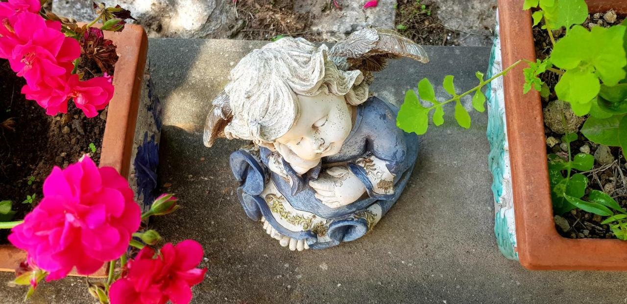 Il Limoneto Degli Angeli Vila Minori Exterior foto
