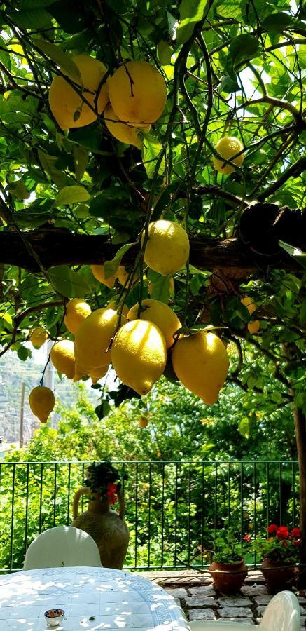 Il Limoneto Degli Angeli Vila Minori Exterior foto