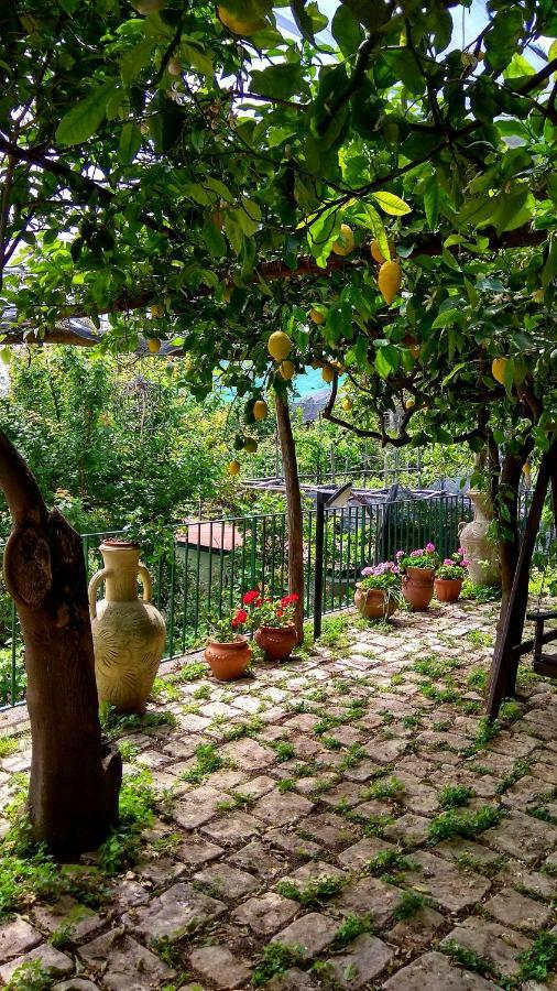 Il Limoneto Degli Angeli Vila Minori Exterior foto